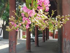 -兴教寺