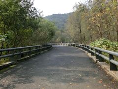 -西湖风景区-江洋畈生态公园