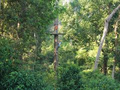 -清迈丛林飞跃 JungleFlight