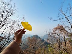 -青龙山景区