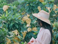 -前童古镇