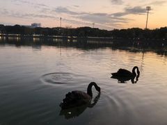 -上海交通大学闵行校区-包玉刚图书馆