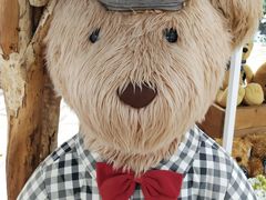 -济州岛泰迪熊博物馆