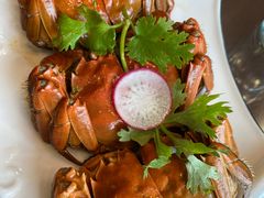 -呼吸森林·生态农庄农家乐私房菜