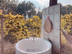 -安德鲁户外烧烤帐篷营地(马泉营店)