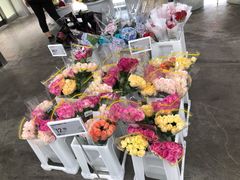 -盒马X会员店(王府井奥莱UP TOWN店)