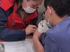 -伟伟宠物医院·CT影像中心·瑞派犬猫综合性门诊(汉口总院)