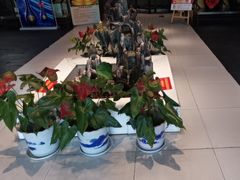 -钱记·乡野菜(紫荆花路店)
