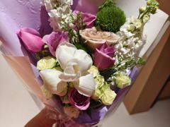 -大自然花鸟鱼虫市场