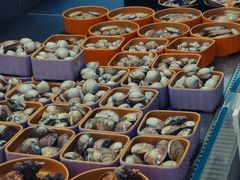 -海底捞大排档火锅(打浦路店)