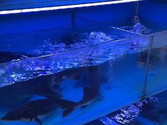 -韩妹鱼庄·泸定老字号(泸定店)