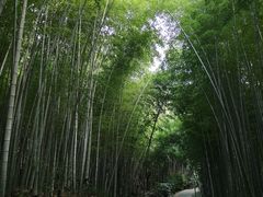 -苏州环秀晓筑养生度假村