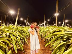 -硇洲岛旅游区