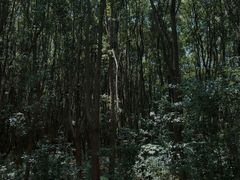 -同里国家湿地公园