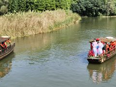 -溱湖国家湿地公园