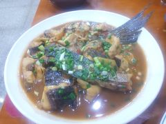 -全乐鱼馆·淳牌有机鱼直营店