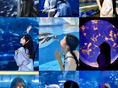 -成都浩海立方海洋公园