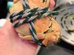 -乔哥铭洋海鲜自助(皇城恒隆广场店)