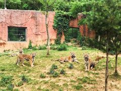 -无锡动物园·太湖欢乐园