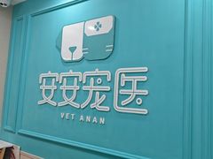 -安安宠医宠物医院·异宠·犬猫内科(岳阳分院)