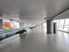 -温州龙湾国际机场