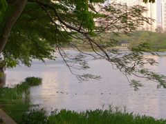 -南宁南湖公园