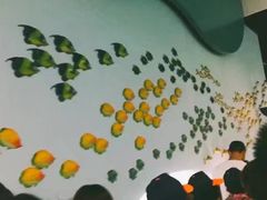 -福州罗源湾海洋世界旅游区