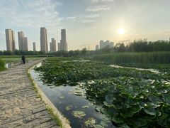 -前关湿地公园