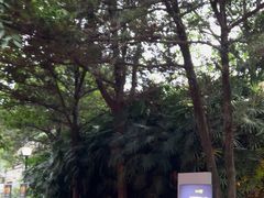 -峨眉电影制片厂宿舍