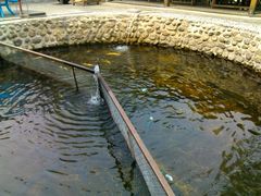 劳模山庄鱼池-劳模山庄