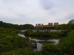 -大亚湾红树林城市湿地公园