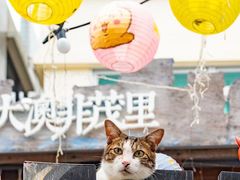 -大澳