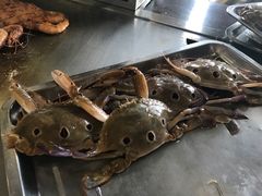 -悦巷海鲜自助铁板烧(秦皇东大街店)