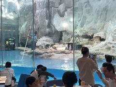 -帝企鹅自助餐厅•儿童岛•真企鹅(长隆企鹅酒店)