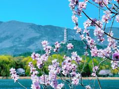 -颐和园