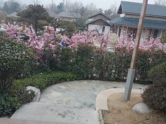 -郑州银基黄帝宫御温泉