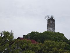 -江心屿景区