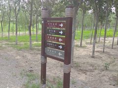 -西青郊野公园
