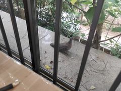 -西湖区图书馆(古墩路)