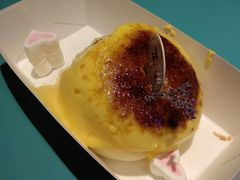 -狐狸和向日葵(北京路店)