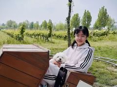 -圣露庄园·露营·烤肉·亲子