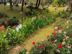 -人民公园(罗湖区)