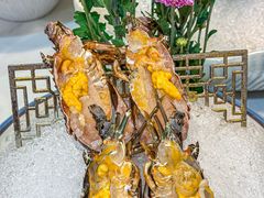 -喜聚薈·花膠雞海鮮火鍋(越秀店)