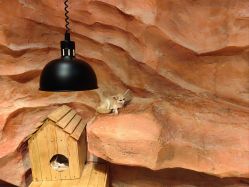 -Zoolung Zoolung动物主题公园(海信广场店)