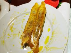 -老雒阳面馆·水席(高新区店)