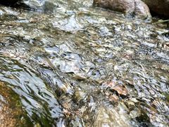 -玉渡山风景区-售票处