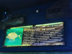 -烟台海昌鲸鲨海洋公园