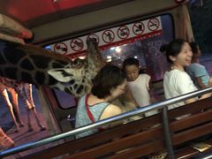 -清迈夜间动物园