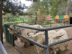 -长白岛森林公园