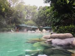 -青城道汤池